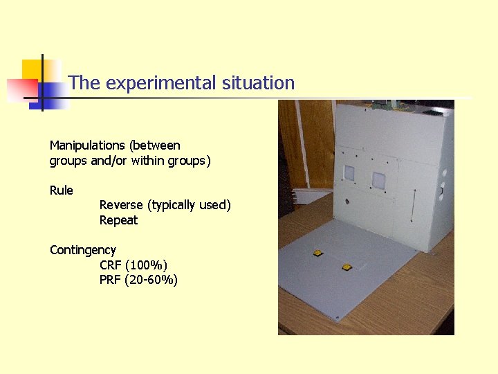 The experimental situation Manipulations (between groups and/or within groups) Rule Reverse (typically used) Repeat