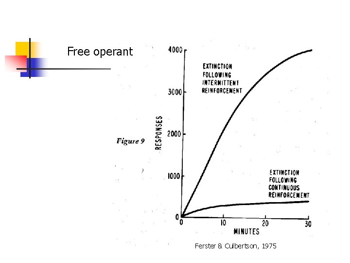 Free operant Ferster & Culbertson, 1975 