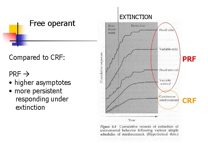 Free operant Compared to CRF: PRF • higher asymptotes • more persistent responding under