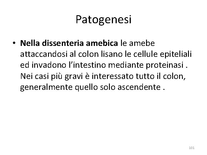 Patogenesi • Nella dissenteria amebica le amebe attaccandosi al colon lisano le cellule epiteliali Patogenesi • Nella dissenteria amebica le amebe attaccandosi al colon lisano le cellule epiteliali