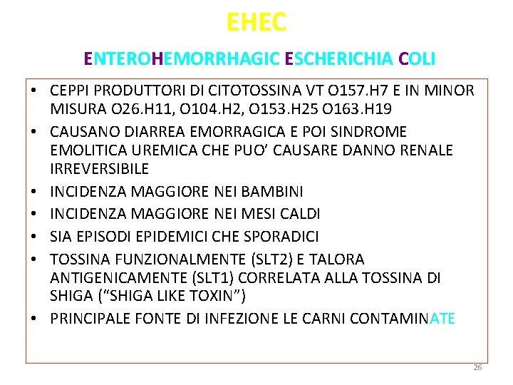 EHEC ENTEROHEMORRHAGIC ESCHERICHIA COLI • CEPPI PRODUTTORI DI CITOTOSSINA VT O 157. H 7 EHEC ENTEROHEMORRHAGIC ESCHERICHIA COLI • CEPPI PRODUTTORI DI CITOTOSSINA VT O 157. H 7