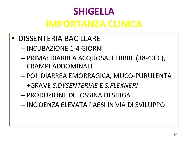 SHIGELLA IMPORTANZA CLINICA • DISSENTERIA BACILLARE – INCUBAZIONE 1 -4 GIORNI – PRIMA: DIARREA SHIGELLA IMPORTANZA CLINICA • DISSENTERIA BACILLARE – INCUBAZIONE 1 -4 GIORNI – PRIMA: DIARREA