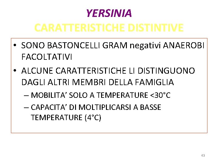 YERSINIA CARATTERISTICHE DISTINTIVE • SONO BASTONCELLI GRAM negativi ANAEROBI FACOLTATIVI • ALCUNE CARATTERISTICHE LI YERSINIA CARATTERISTICHE DISTINTIVE • SONO BASTONCELLI GRAM negativi ANAEROBI FACOLTATIVI • ALCUNE CARATTERISTICHE LI