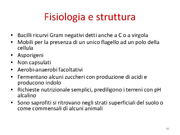 Fisiologia e struttura • Bacilli ricurvi Gram negativi detti anche a C o a Fisiologia e struttura • Bacilli ricurvi Gram negativi detti anche a C o a