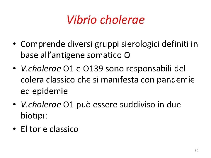 Vibrio cholerae • Comprende diversi gruppi sierologici definiti in base all’antigene somatico O • Vibrio cholerae • Comprende diversi gruppi sierologici definiti in base all’antigene somatico O •