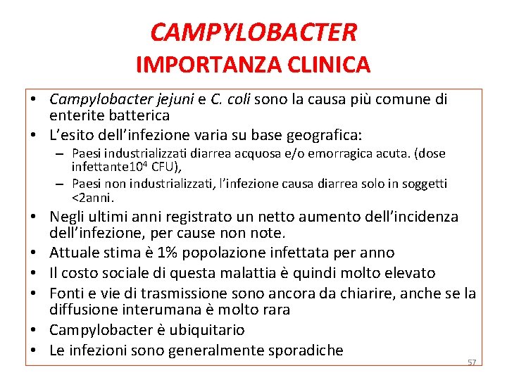CAMPYLOBACTER IMPORTANZA CLINICA • Campylobacter jejuni e C. coli sono la causa più comune CAMPYLOBACTER IMPORTANZA CLINICA • Campylobacter jejuni e C. coli sono la causa più comune