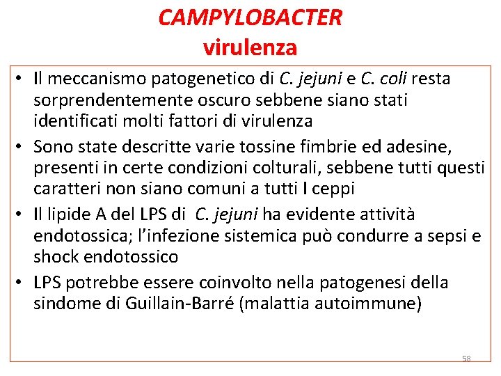 CAMPYLOBACTER virulenza • Il meccanismo patogenetico di C. jejuni e C. coli resta sorprendentemente CAMPYLOBACTER virulenza • Il meccanismo patogenetico di C. jejuni e C. coli resta sorprendentemente