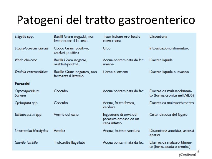 Patogeni del tratto gastroenterico 6 Patogeni del tratto gastroenterico 6
