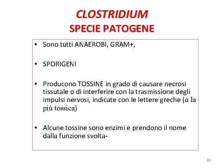 CLOSTRIDIUM SPECIE PATOGENE • Sono tutti ANAEROBI, GRAM+, • SPORIGENI • Producono TOSSINE in CLOSTRIDIUM SPECIE PATOGENE • Sono tutti ANAEROBI, GRAM+, • SPORIGENI • Producono TOSSINE in