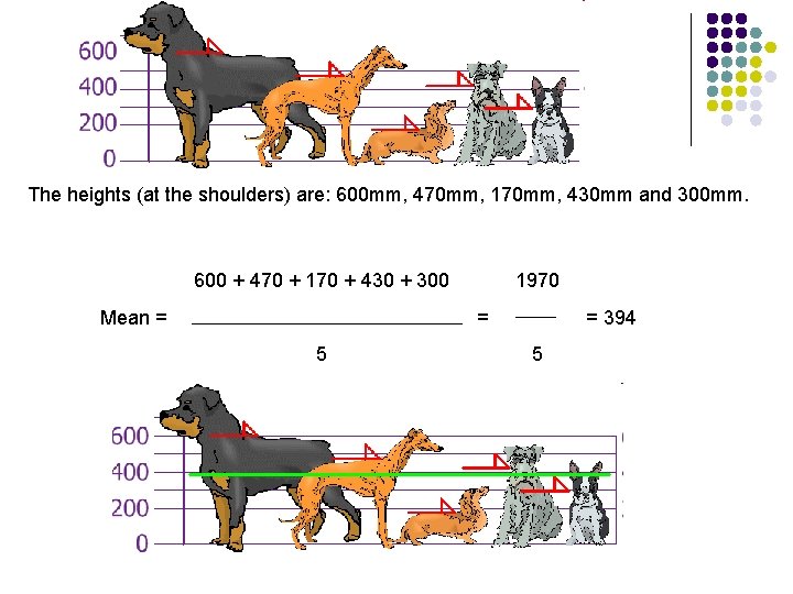 The heights (at the shoulders) are: 600 mm, 470 mm, 170 mm, 430 mm