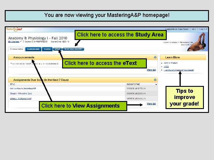 You are now viewing your Mastering. A&P homepage! Click here to access the Study