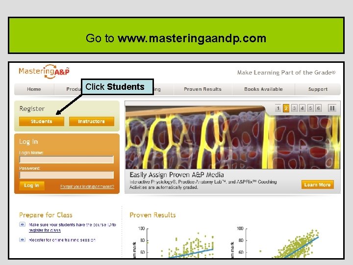 Go to www. masteringaandp. com Click Students 