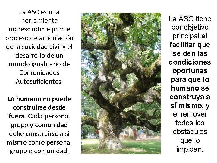 La ASC es una herramienta imprescindible para el proceso de articulación de la sociedad