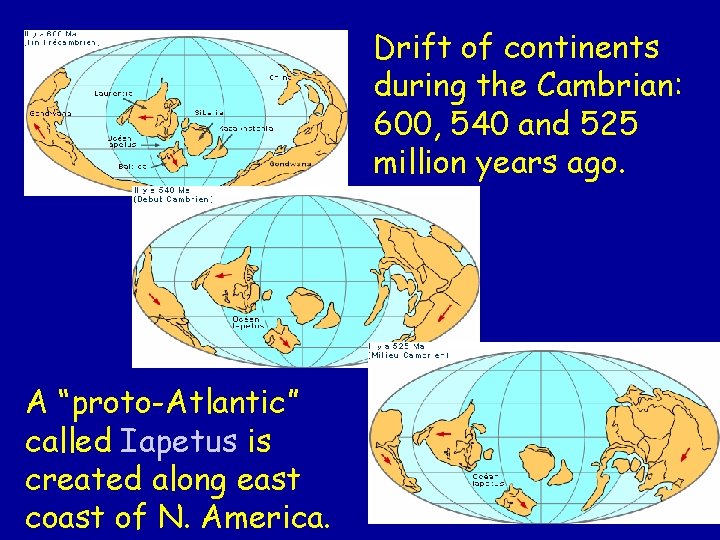 Drift of continents during the Cambrian: 600, 540 and 525 million years ago. A