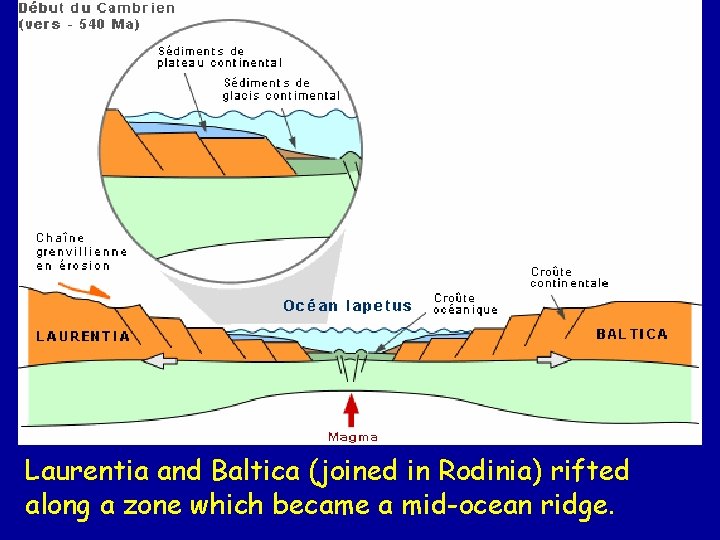 Laurentia and Baltica (joined in Rodinia) rifted along a zone which became a mid-ocean