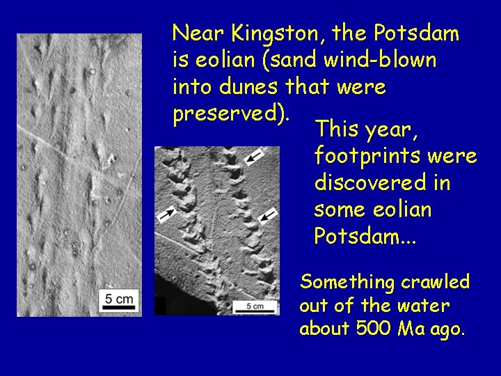 Near Kingston, the Potsdam is eolian (sand wind-blown into dunes that were preserved). This