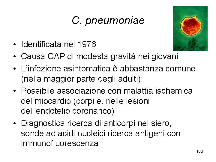 C. pneumoniae • Identificata nel 1976 • Causa CAP di modesta gravità nei giovani