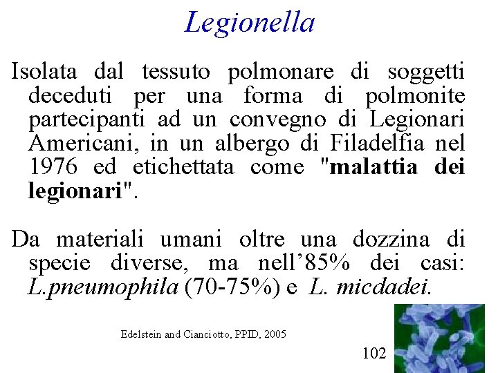 Legionella Isolata dal tessuto polmonare di soggetti deceduti per una forma di polmonite partecipanti