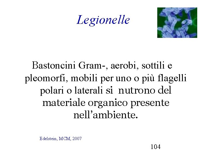 Legionelle Bastoncini Gram-, aerobi, sottili e pleomorfi, mobili per uno o più flagelli polari