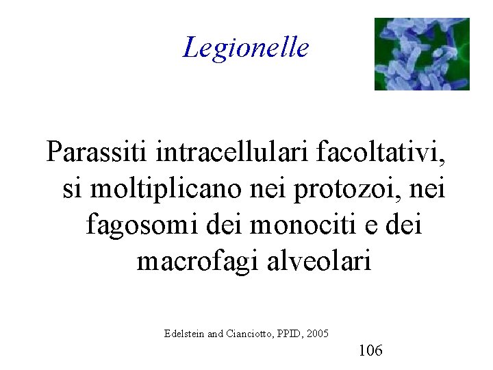 Legionelle Parassiti intracellulari facoltativi, si moltiplicano nei protozoi, nei fagosomi dei monociti e dei