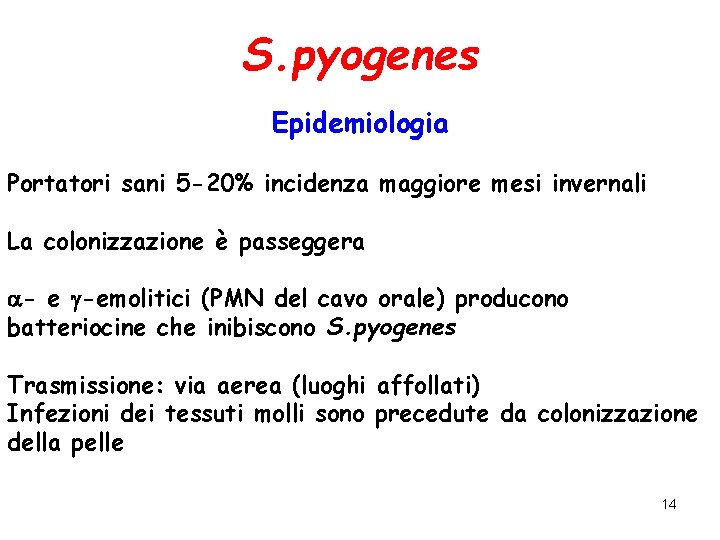 S. pyogenes Epidemiologia Portatori sani 5 -20% incidenza maggiore mesi invernali La colonizzazione è