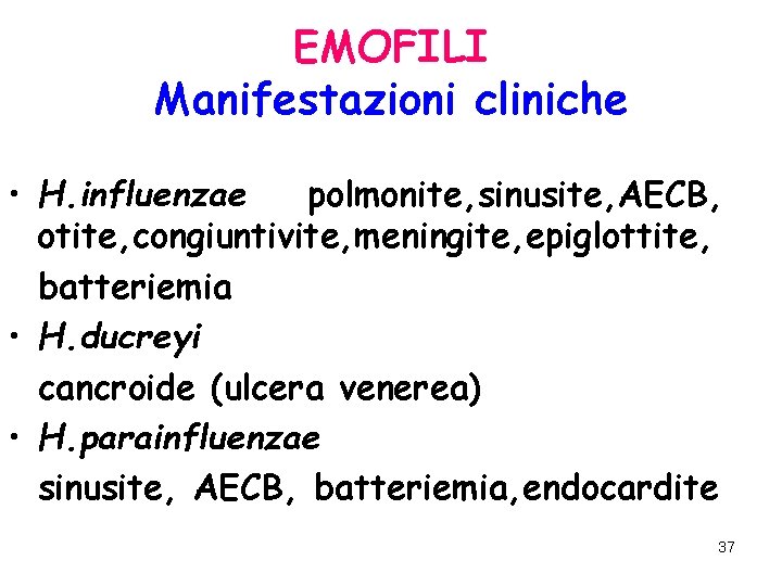 EMOFILI Manifestazioni cliniche • H. influenzae polmonite, sinusite, AECB, otite, congiuntivite, meningite, epiglottite, batteriemia