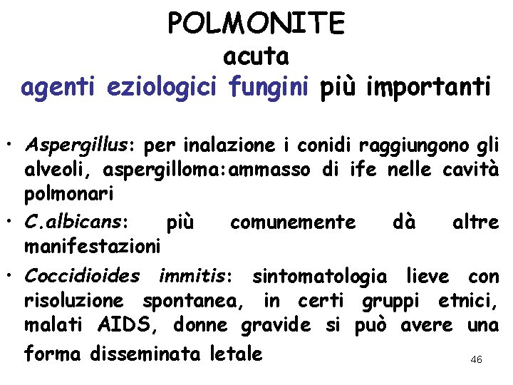 POLMONITE acuta agenti eziologici fungini più importanti • Aspergillus: per inalazione i conidi raggiungono
