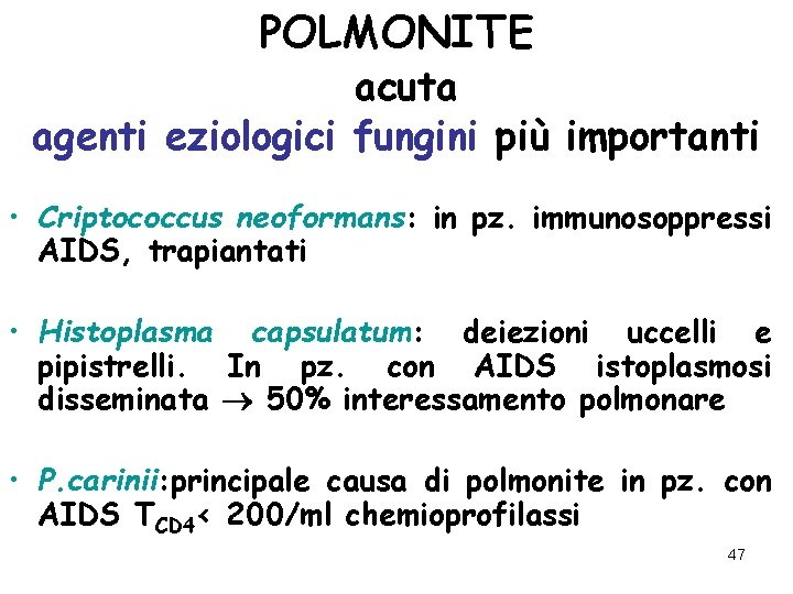 POLMONITE acuta agenti eziologici fungini più importanti • Criptococcus neoformans: in pz. immunosoppressi AIDS,