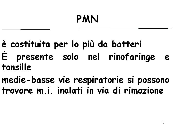 PMN è costituita per lo più da batteri È presente solo nel rinofaringe e