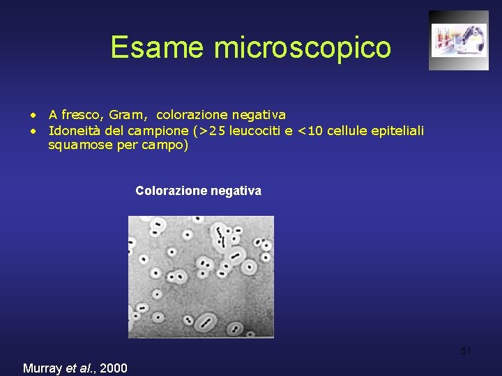 Esame microscopico • A fresco, Gram, colorazione negativa • Idoneità del campione (>25 leucociti