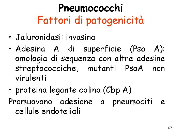 Pneumococchi Fattori di patogenicità • Jaluronidasi: invasina • Adesina A di superficie (Psa A):