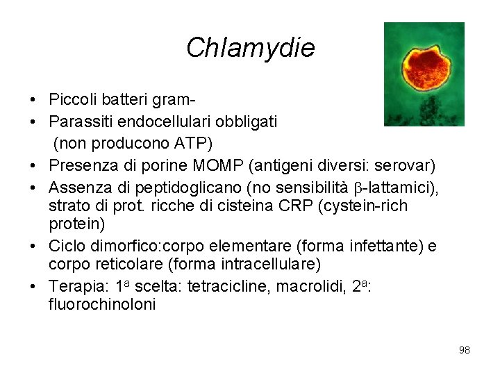 Chlamydie • Piccoli batteri gram • Parassiti endocellulari obbligati (non producono ATP) • Presenza