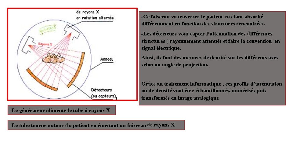 -Ce faisceau va traverser le patient en étant absorbé différemment en fonction des structures -Ce faisceau va traverser le patient en étant absorbé différemment en fonction des structures