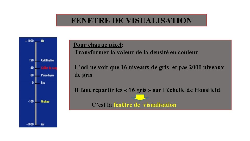 FENETRE DE VISUALISATION Pour chaque pixel: Transformer la valeur de la densité en couleur FENETRE DE VISUALISATION Pour chaque pixel: Transformer la valeur de la densité en couleur