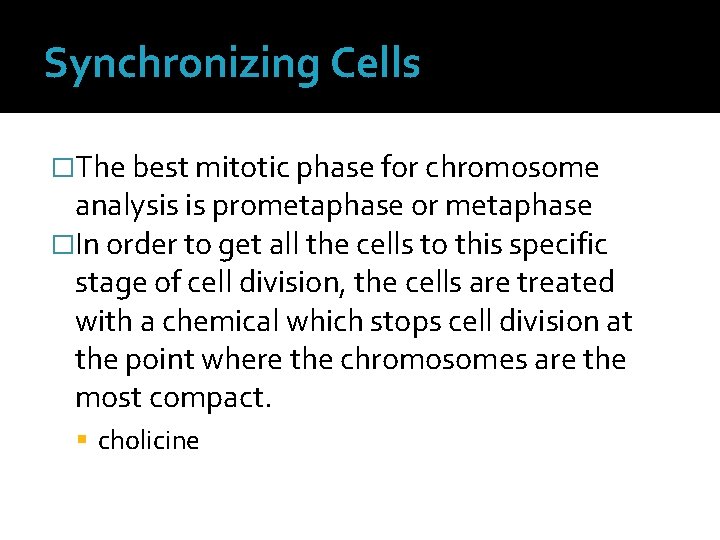 Synchronizing Cells �The best mitotic phase for chromosome analysis is prometaphase or metaphase �In