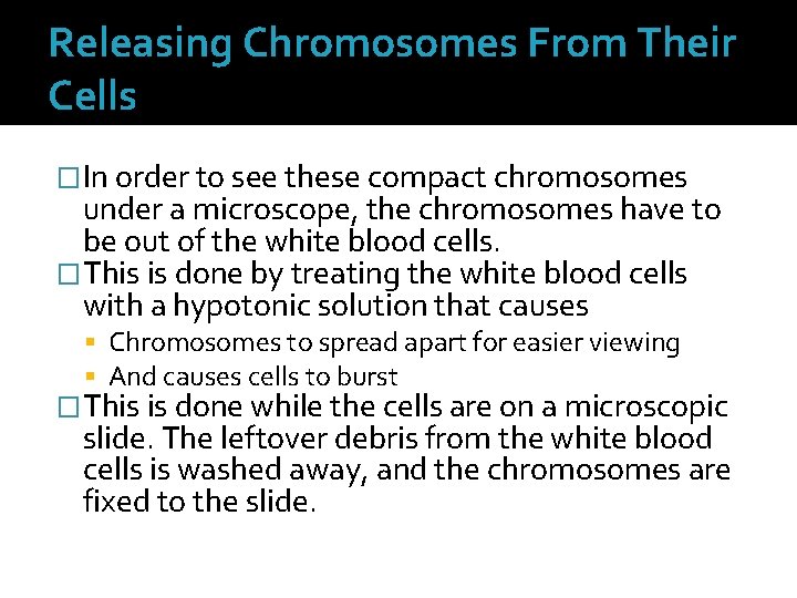 Releasing Chromosomes From Their Cells �In order to see these compact chromosomes under a