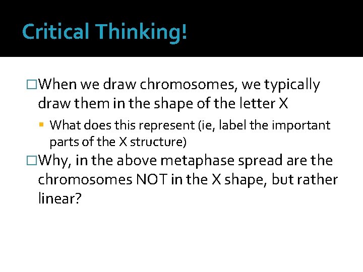 Critical Thinking! �When we draw chromosomes, we typically draw them in the shape of