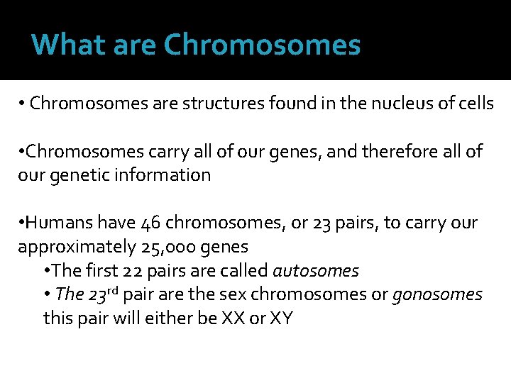 What are Chromosomes • Chromosomes are structures found in the nucleus of cells •