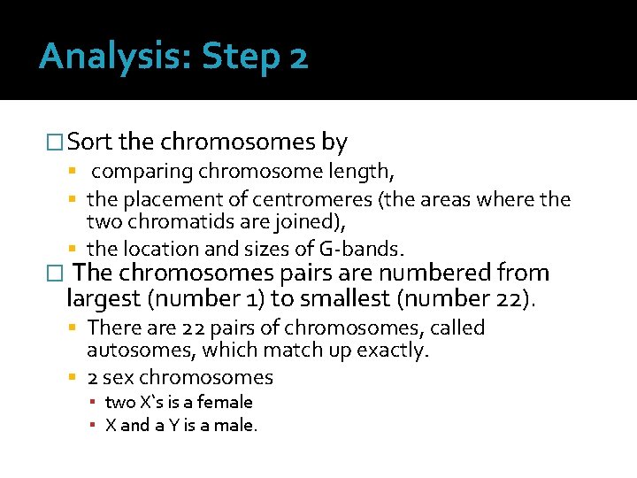 Analysis: Step 2 �Sort the chromosomes by comparing chromosome length, the placement of centromeres