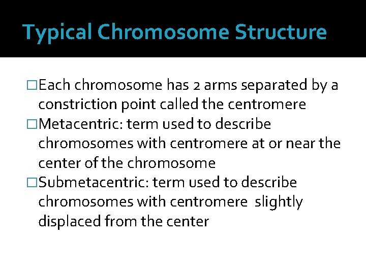 Typical Chromosome Structure �Each chromosome has 2 arms separated by a constriction point called