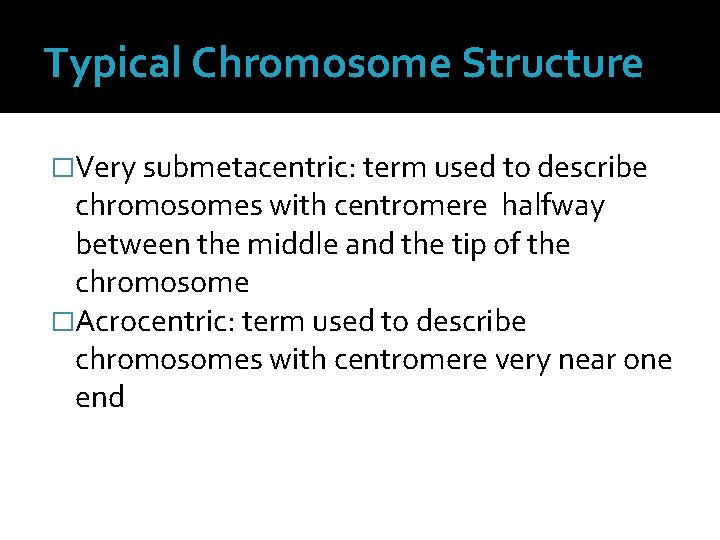 Typical Chromosome Structure �Very submetacentric: term used to describe chromosomes with centromere halfway between