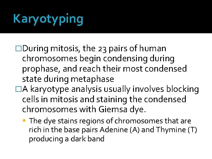 Karyotyping �During mitosis, the 23 pairs of human chromosomes begin condensing during prophase, and