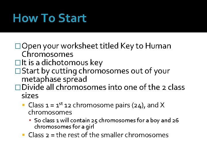 How To Start �Open your worksheet titled Key to Human Chromosomes �It is a