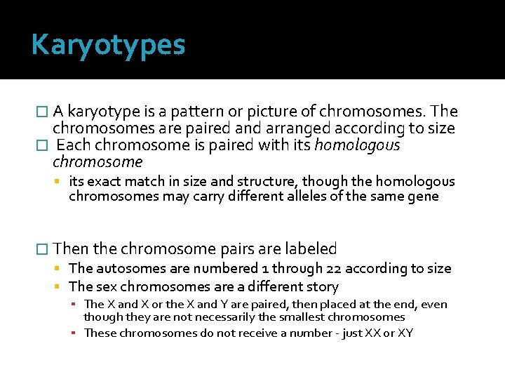 Karyotypes � A karyotype is a pattern or picture of chromosomes. The chromosomes are