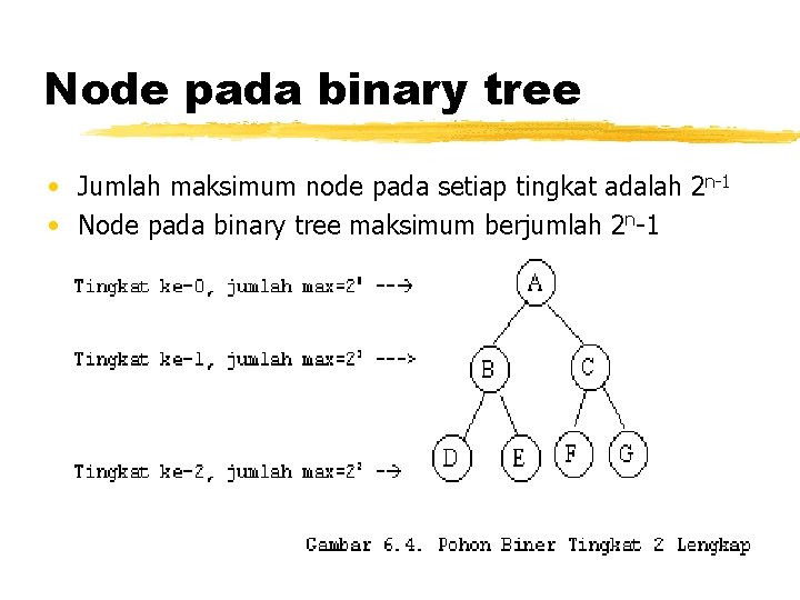 Node pada binary tree • Jumlah maksimum node pada setiap tingkat adalah 2 n-1