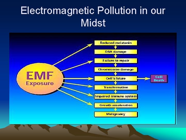 Electromagnetic Pollution in our Midst 