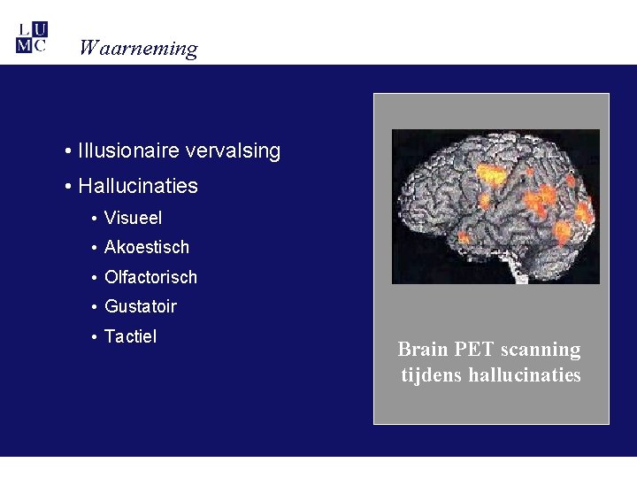 Waarneming • Illusionaire vervalsing • Hallucinaties • Visueel • Akoestisch • Olfactorisch • Gustatoir