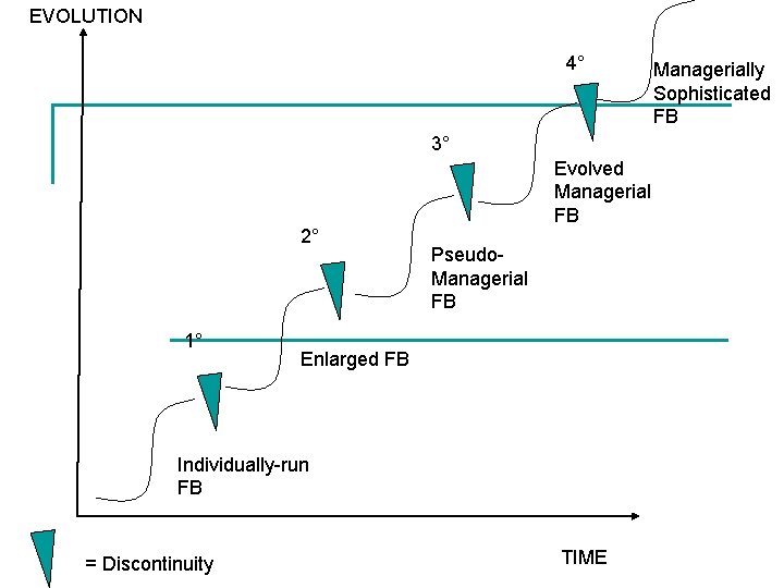 EVOLUTION 4° 3° 2° 1° Evolved Managerial FB Pseudo. Managerial FB Enlarged FB Individually-run