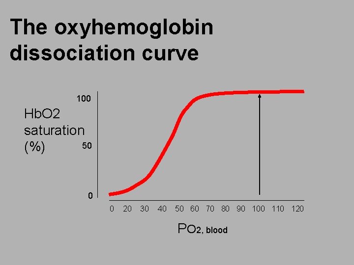 The oxyhemoglobin dissociation curve 100 Hb. O 2 saturation 50 (%) 0 0 20