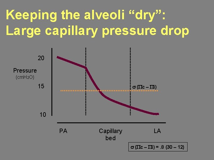 Keeping the alveoli “dry”: Large capillary pressure drop 20 Pressure (cm. H 2 O)